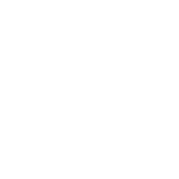 Toy Robot Logo